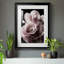Rose noire II - Photographie sur toile avec cadre photo-436043792-436043793