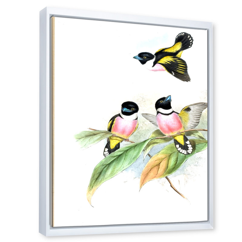 Oiseaux d'époque III - peinture sur toile, H 32 po x l 16 po x P 1 po, Cadre flottant blanc
