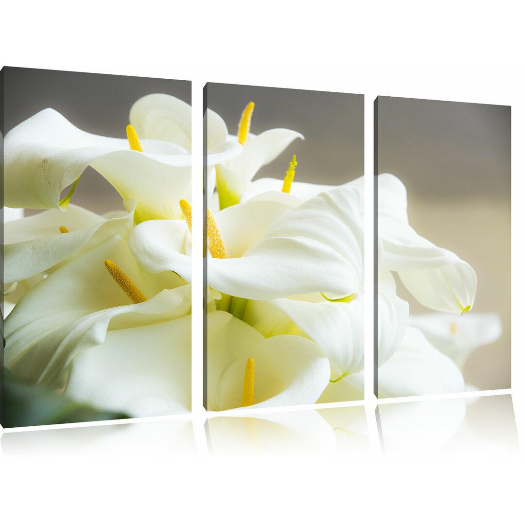 3-tlg. Leinwandbilder-Set Wunderschöne weiße Calla Lilien, Fotodruck