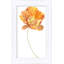 Cali Collection 15 Print by Nathan Turner