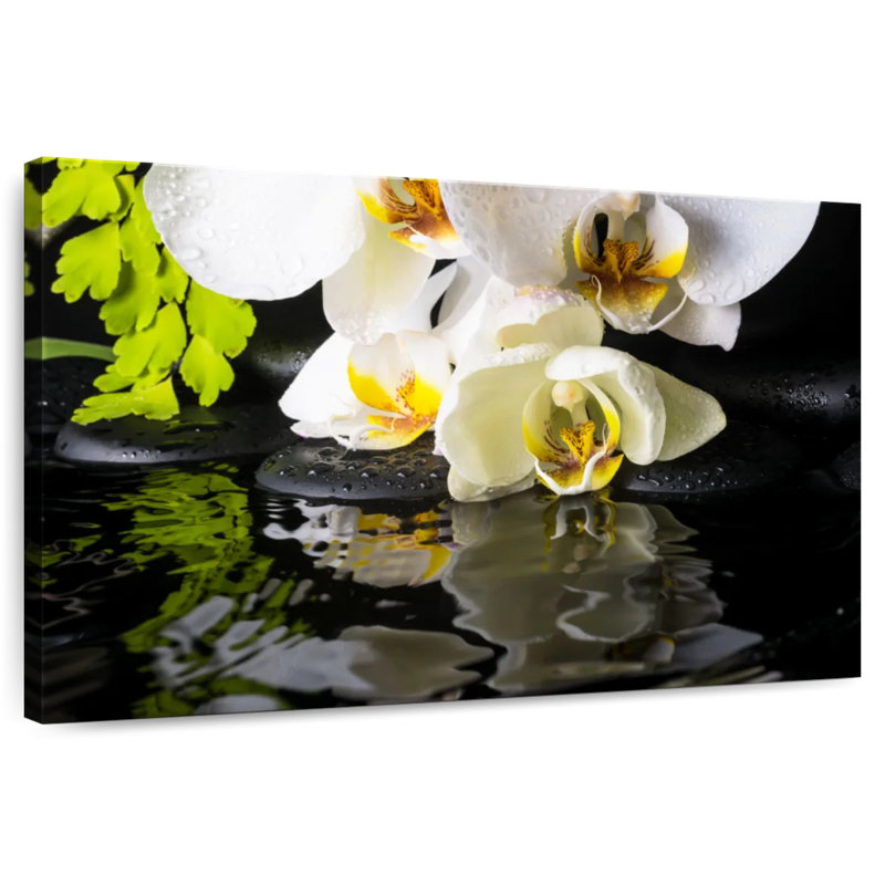 Orchidées Harnek, H 20 po x l 30 po