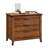 Winstone 2 -Drawer File Cabinet-1362993757