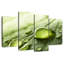 Harnek Dewdrops sur feuille verte-108783865