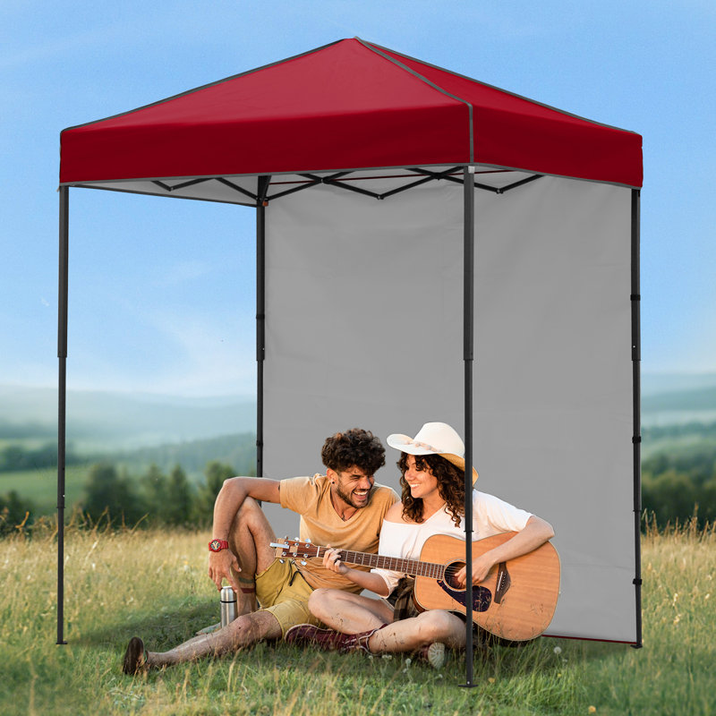 6x4 Canopy Tent, Heavy Duty Pop up Canopy with Sidewall, Burgundy