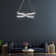 Edengrace LED Chandelier