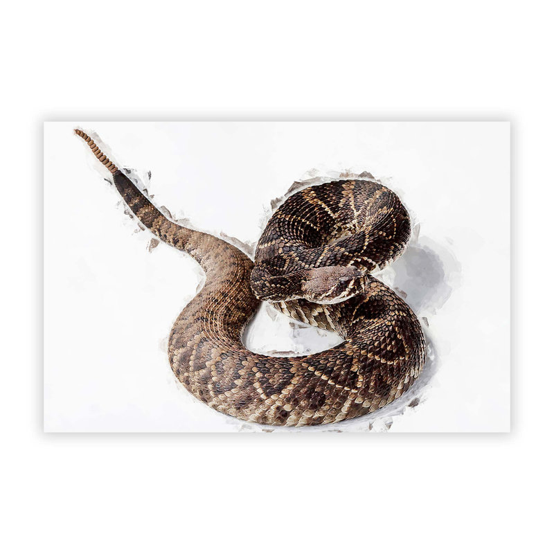 Close To A Rattle Snake - No Frame Print, 59.4 cm H x 84.1 cm W