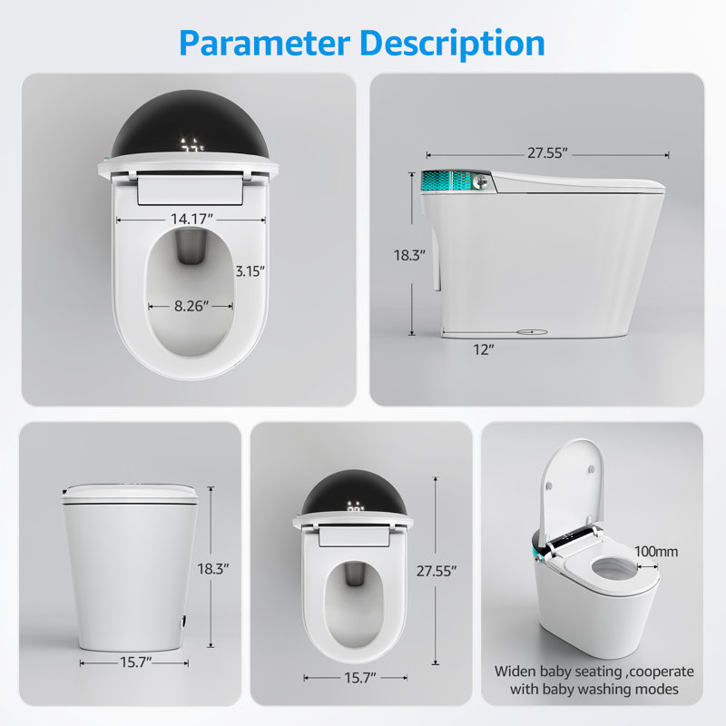 Dual-Flush Elongated Bidet Toilet (Seat Included), White/Black