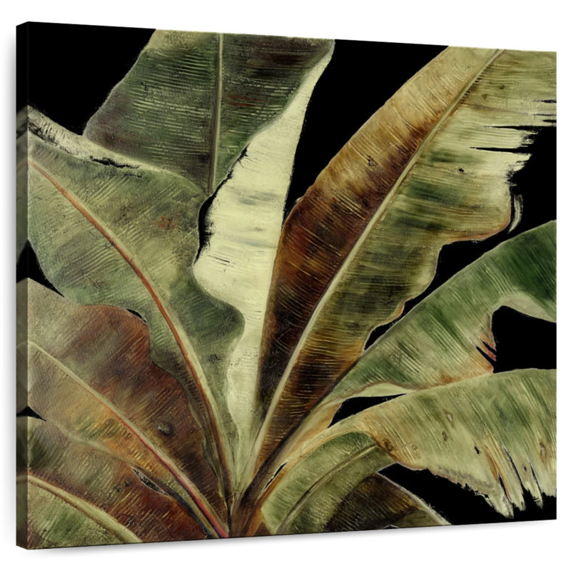 Uraba Palm On Black