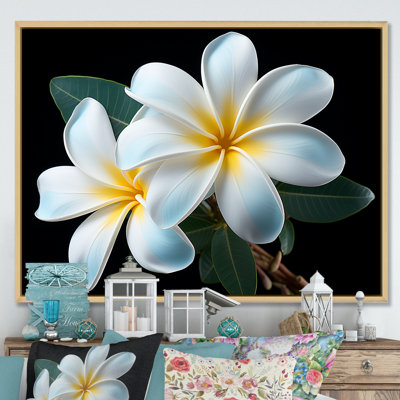 " Plumeria Charming Elegance I "