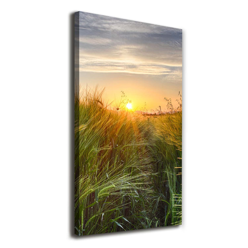 Wheat Field - Wrapped Canvas Print