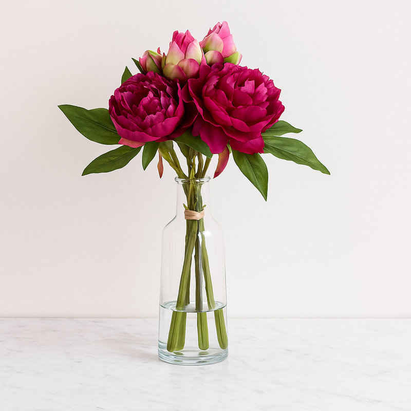 Ensemble de pivoines florales, Rouge