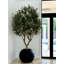 Artificial Olive Tree 30" Globe Planter-445470674