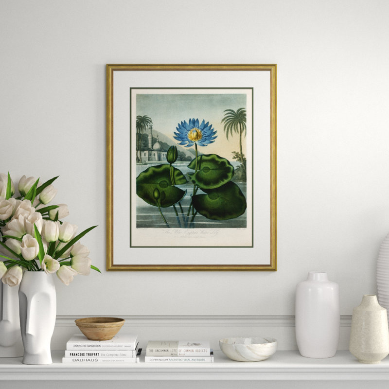 Botanicals 1 Giclee Print by Robert John Thornton