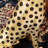 Resin Panther End Table Luxury Gold Leopard Accent Side Table With Tray Top Drink Table
