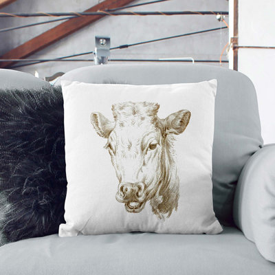 Square Throw Cushion