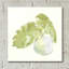 «Plant Big Leaf IV» par Chris Paschke-581337143