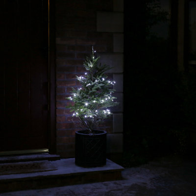 String Lights