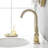 Single-handle Bathroom Faucet with Drain Assembly-63232952