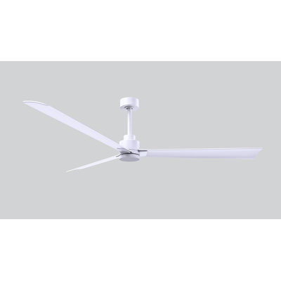 Alessandra Outdoor Downrod Ceiling Fan
