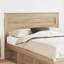 Headboard-1703146477-1703146452