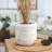 Cheyan Handmade Ceramic Table Vase