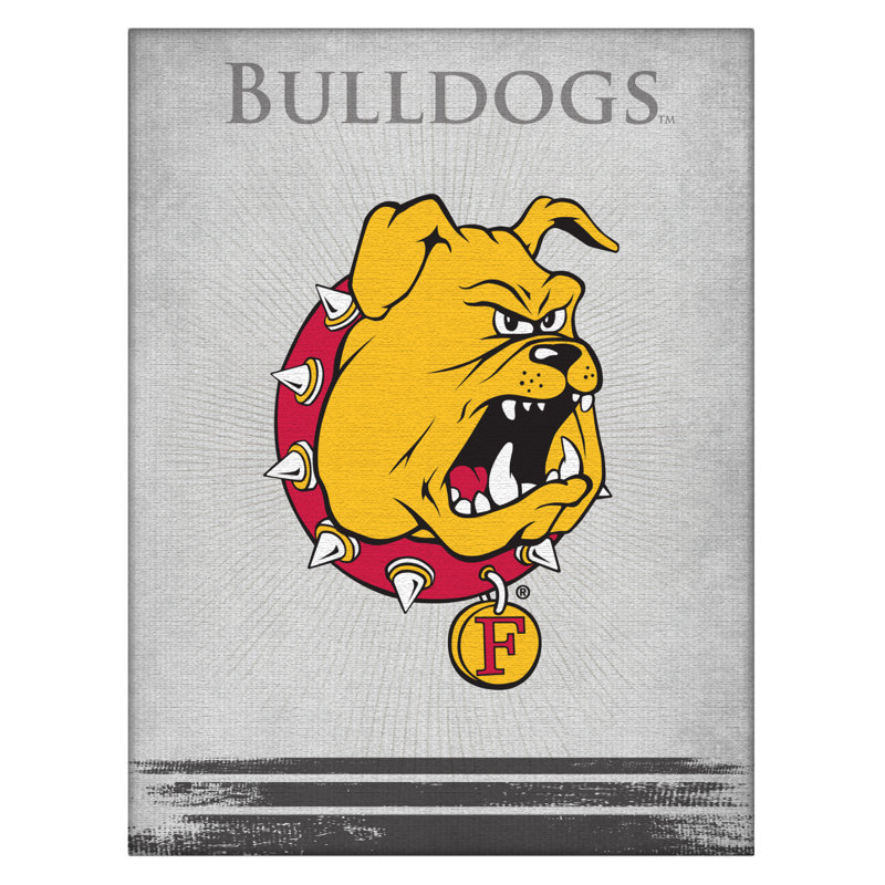 NCAA - Impression sur toile tendue, Bulldogs de Ferris State, H 15 po x l 20 po x P 1 po