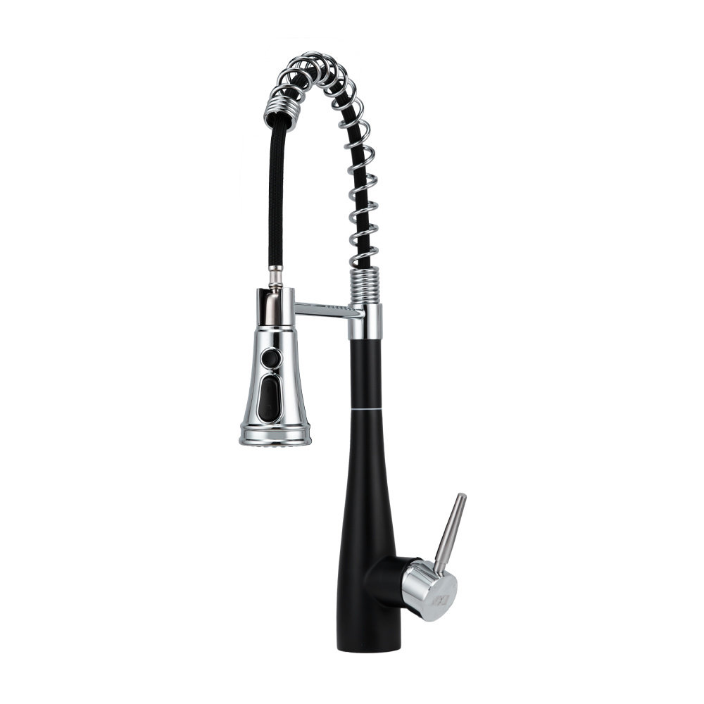 Belfry Kitchen Carmorn Pull Out Kitchen Faucet
