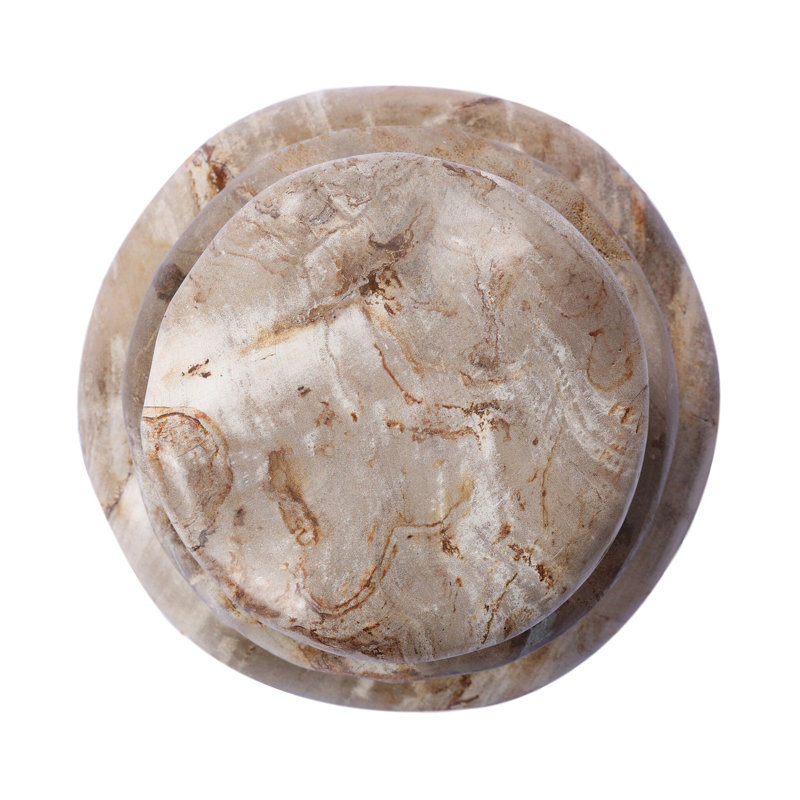 Petrified Wood Organic Sculpture, Light Brown