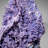 Quartz Var. Grape Agate