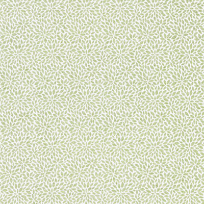 Pacifica Fabric