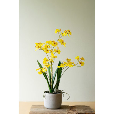 Orchidée oncidium artificielle jaune Primrue dans un pot