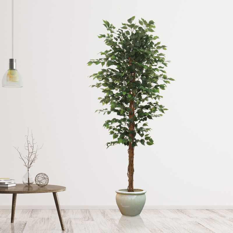 Ficus artificiel de 7 pieds de hauteur - Faux arbre vert en pot, H 84 po x l 26 po x P 12 po