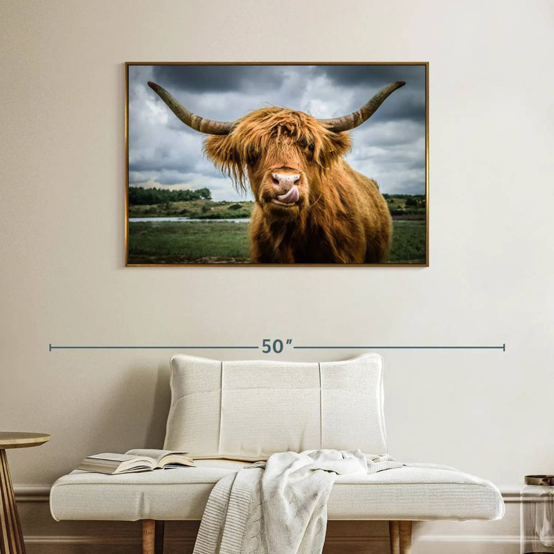 Silly Highland Cow, Cadre flottant doré, 40 po x 27 po