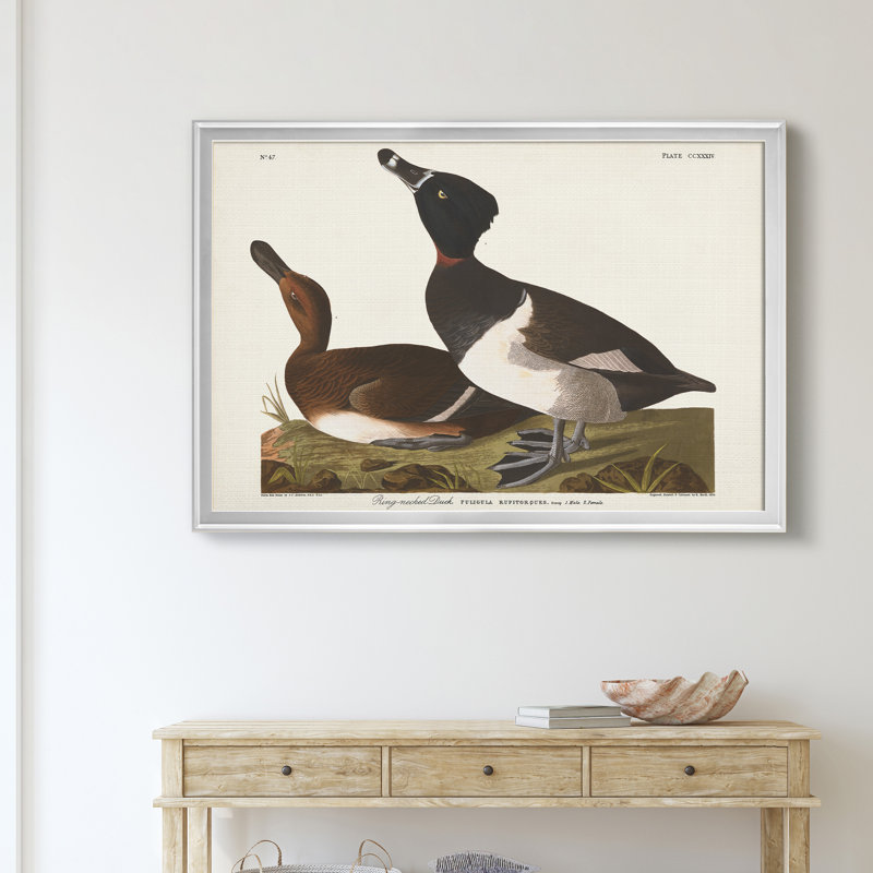 " Ring Necked Duck ", 22.5" H x 30.5" W x 1.5" D, Silver