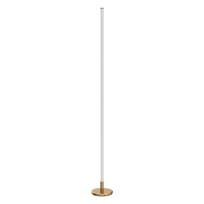 Minimalist Corner Floor Lamp With Dimmable LED Light And Remote Control - Adjustable Color Temperature For Modern Living Room And Bedroom Lighting