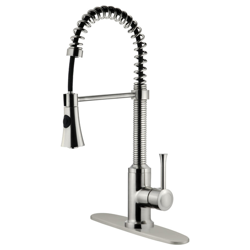 LessCare Pull Out Kitchen Faucet