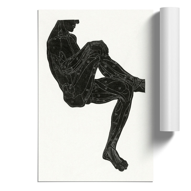 Anatomical Study of a Man by Reijer Stolk - Frameless Print, 42cm H x 30cm W x 0.1cm D