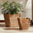 Damarrion WATER HYACINTH TAPERED BASKETS