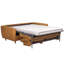Marotz Sofa Bed with Mattress-9882831