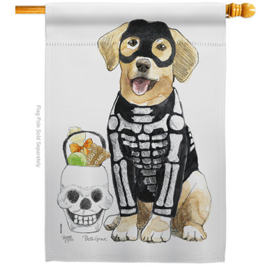 Double Sided 40'' H x 28'' W Polyester Animal House Flag
