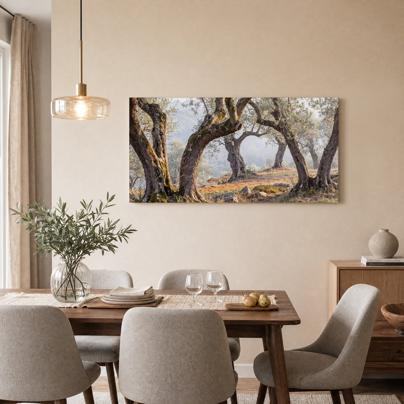 «Mossy Olive Tree Trunks In Sunlit Grove», art mural sur toile, L 40 po x H 20 po