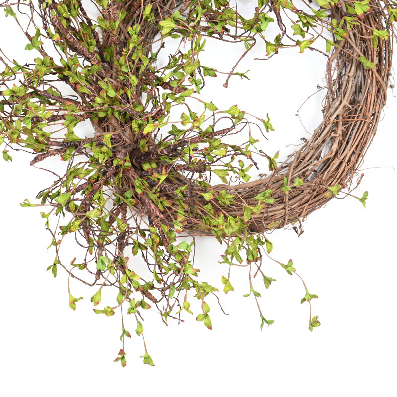 26" Spring Grapevine Wreath for Front Door, Brown/Green