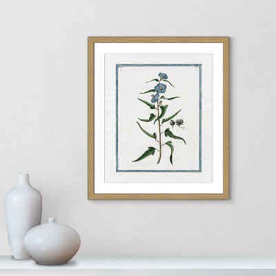 Colombe Shabby Elegance Botanical I - Art encadré avec fond perdu