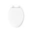 Glenbury Elongated Toilet Seat-2592462-85952693