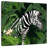 Brampt Leaves And Zebra