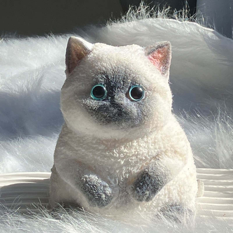 Peluche chat doux, jouet anti-stress chat mignon et gros, cadeau sensoriel de Noël pour les amoureux des chats, C