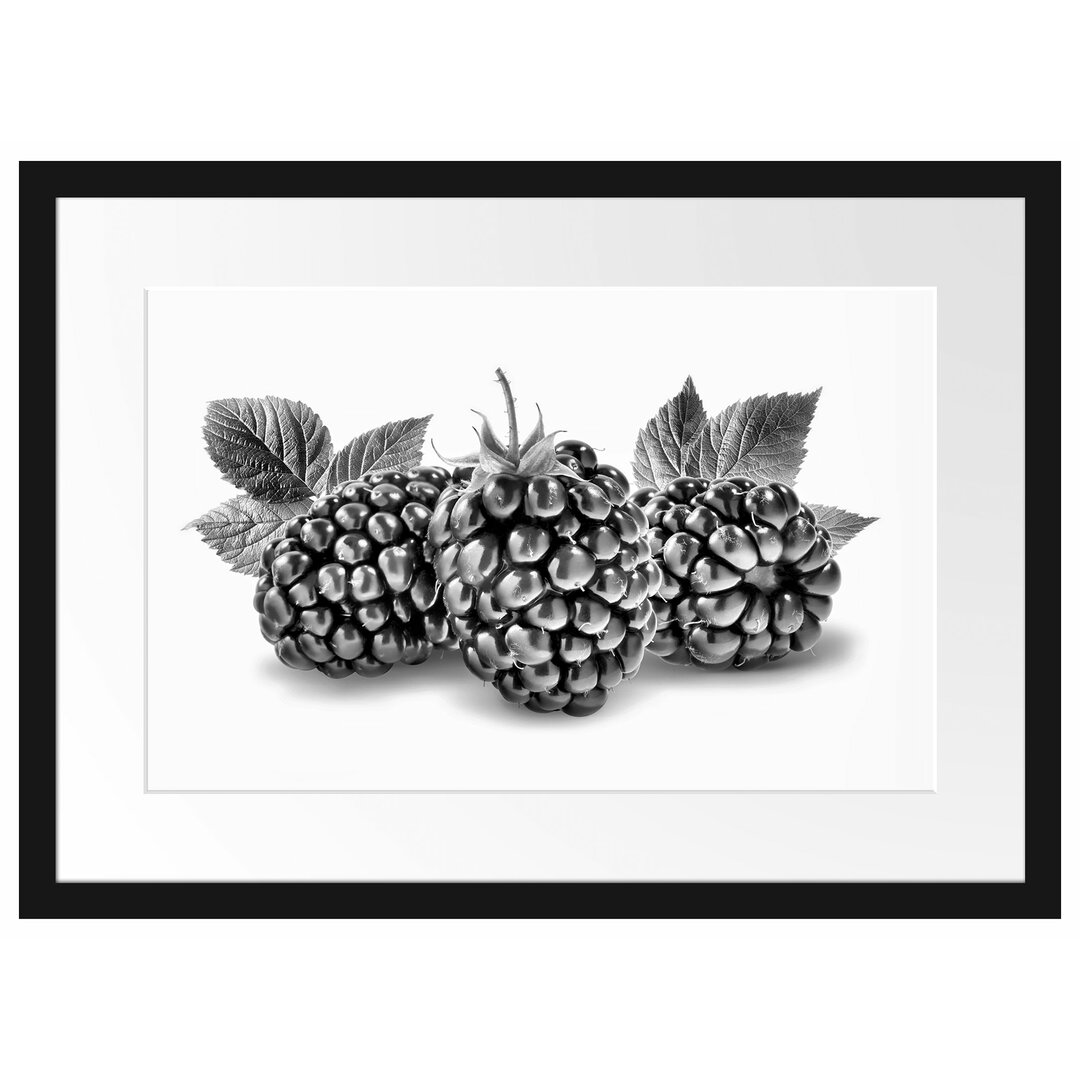 Gerahmtes Poster Leckere Brombeeren