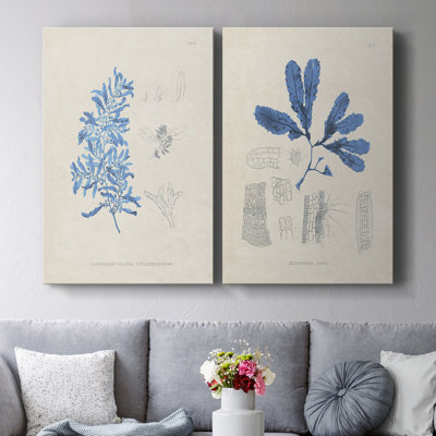 «Blue Marine Algae VI», toile tendue avec châssis de qualité supérieure, prête à être accrochée