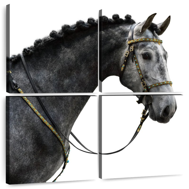 Cheval espagnol gris Brampt