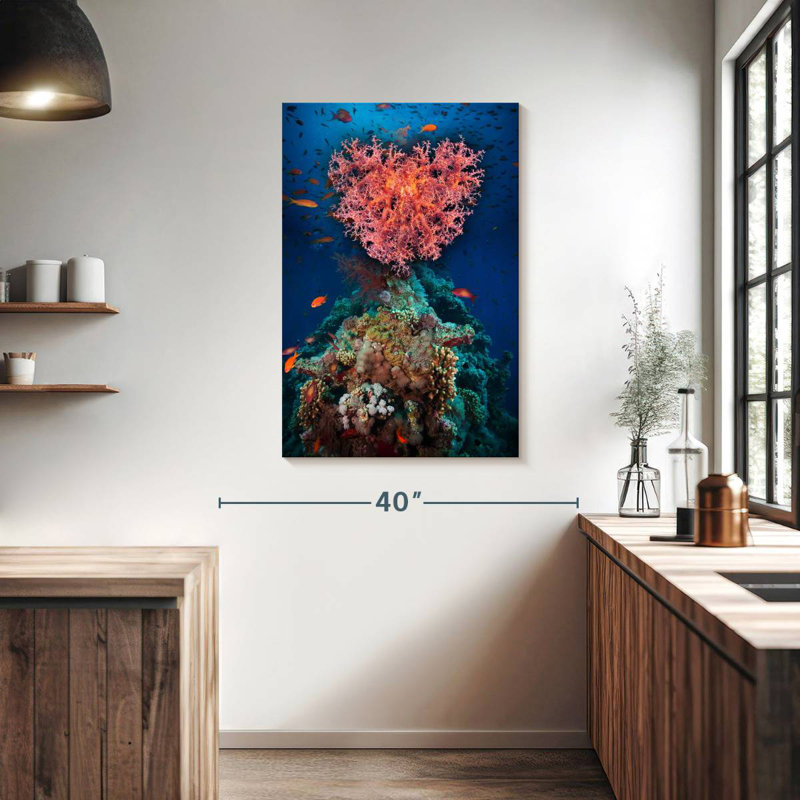 Corail, H 39 po x l 26 po